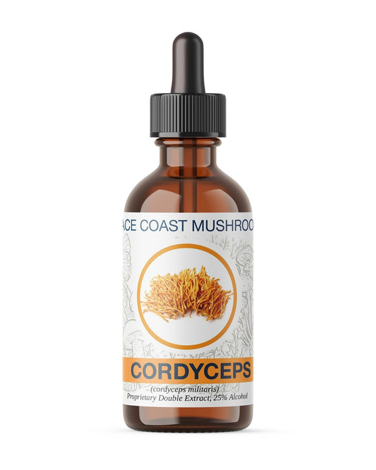 Cordyceps Tincture