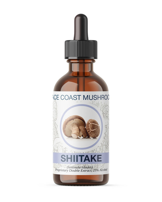 Shiitake Mushroom Tincture