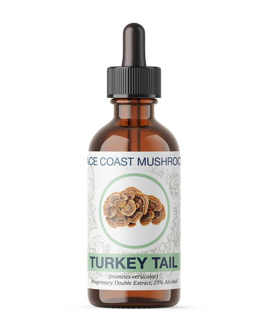 Turkey Tail Tincture